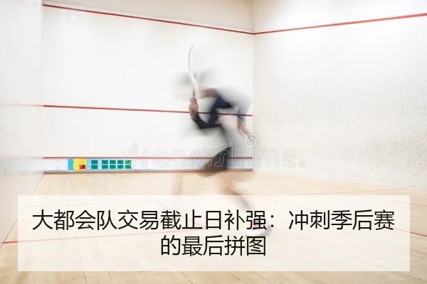 大都会队交易截止日补强：冲刺季后赛的最后拼图