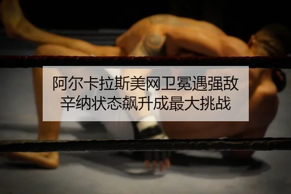 a-er-ka-la-si-mei-wang-wei-mian-yu-qiang-di-xin-na-zhuang-tai-biao-sheng-cheng-zui-da-tiao-zhan-2-256.jpg
