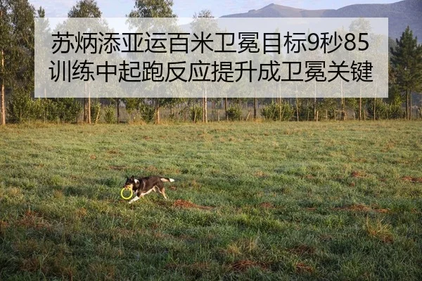su-bing-tian-ya-yun-bai-mi-wei-mian-mu-biao-miao-xun-lian-zhong-qi-pao-fan-ying-ti-sheng-cheng-wei-mian-guan-jian-2-421.jpg